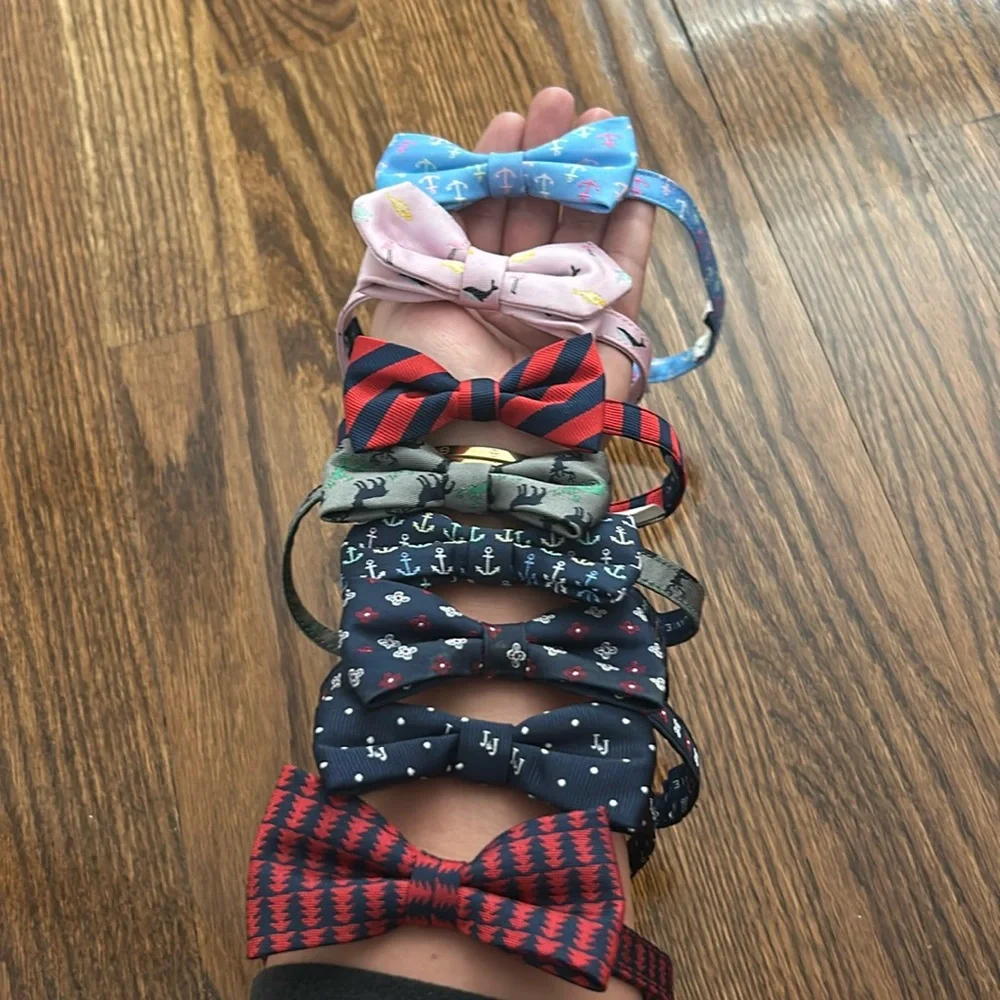 Janie and Jack boys bowtie